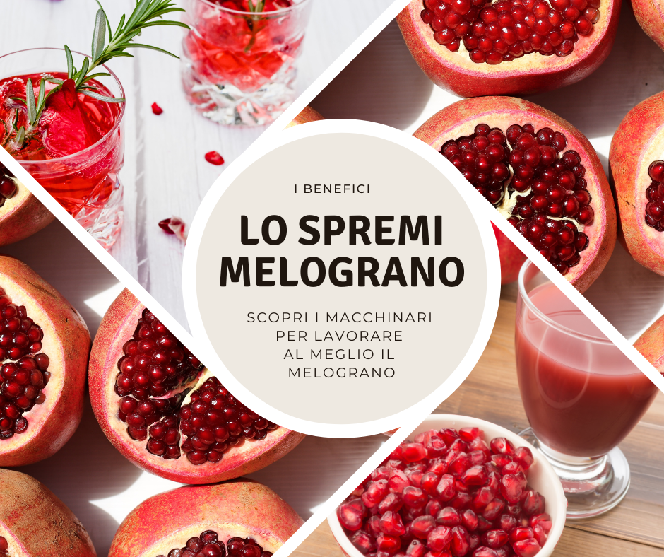 macchina spremi melograno